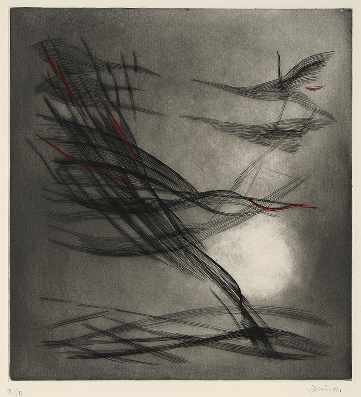 Clair obscur by Ferdinand Springer