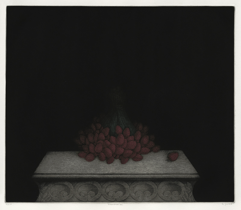 Strawberries by Tomoe Yokoi