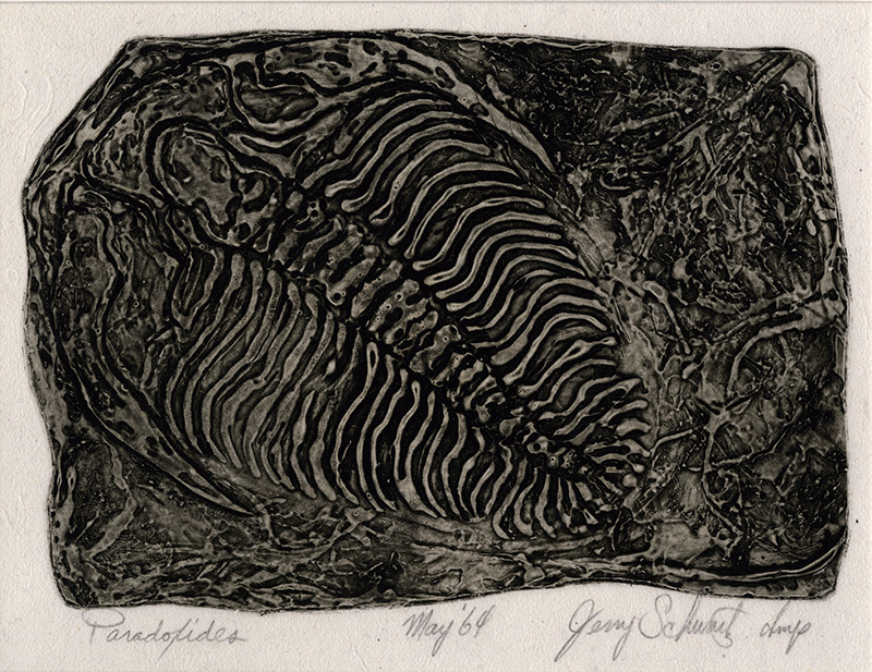 Paradoxides by Jerry Schwartz