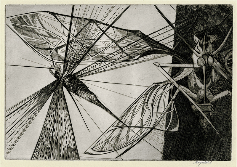 Locust by Walter R. Rogalski