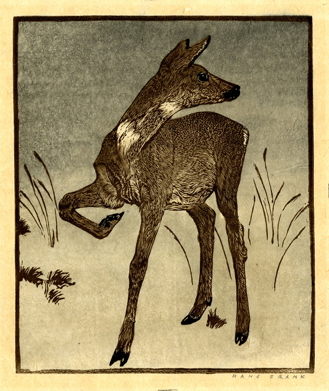 (Deer) by Hans Frank