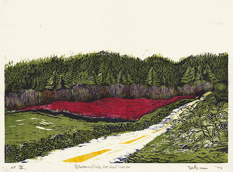 Blueberry Fields are Red Forever by Steven Louis Belzman