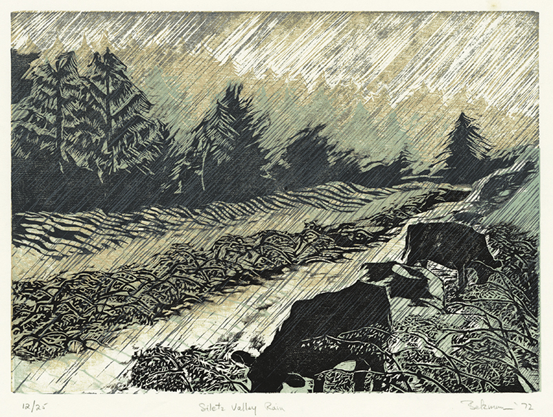 Siletz Valley Rain by Steven Louis Belzman