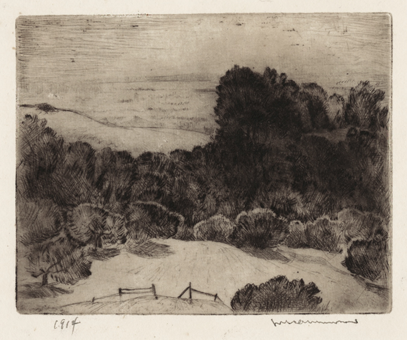 (Marin County Landscape) by Lawrence Norris Scammon
