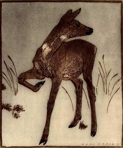 (fawn) by Hans Frank