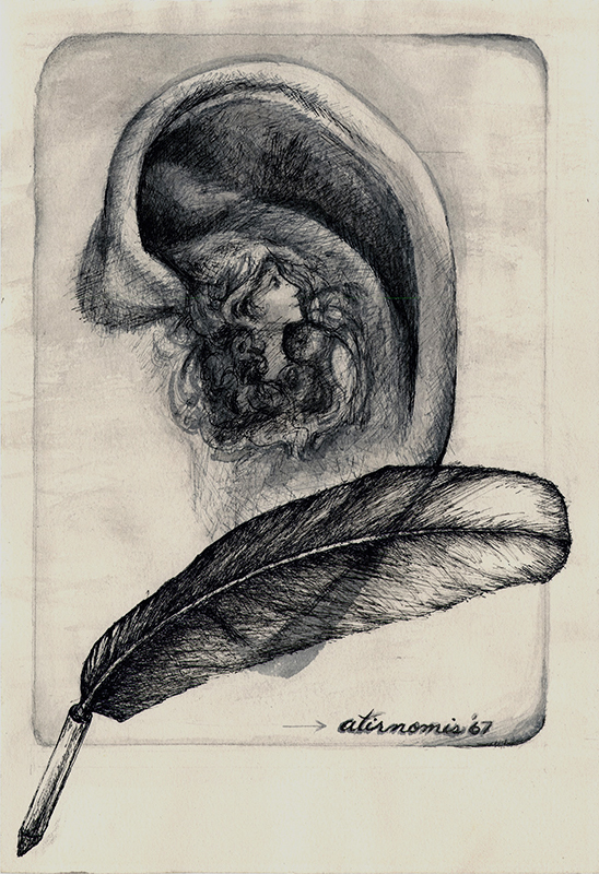 Feather by Rita Simon-Atirnomis