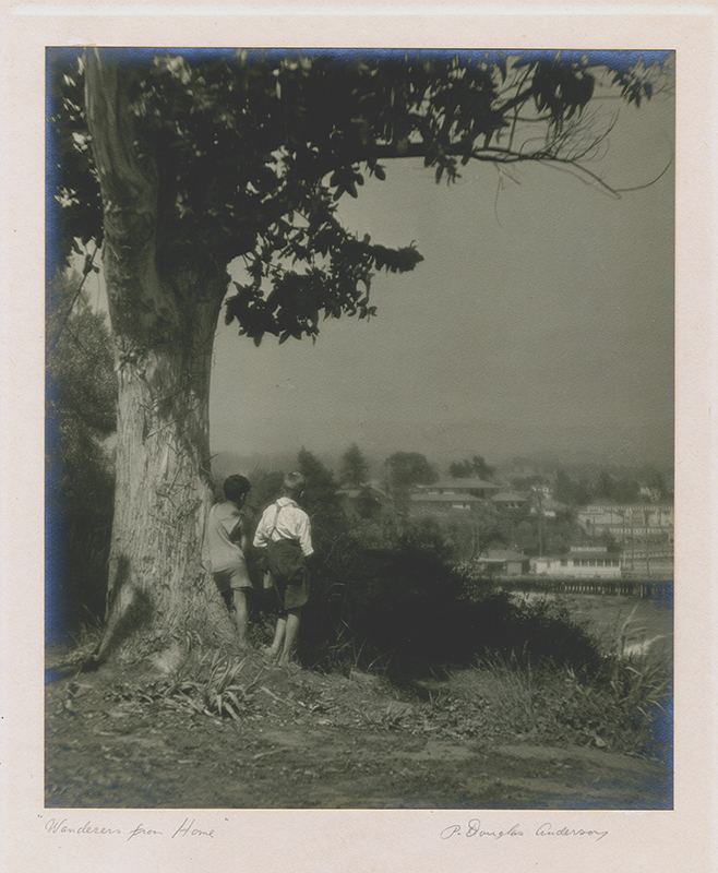 Wanderers From Home by P. Douglas Anderson