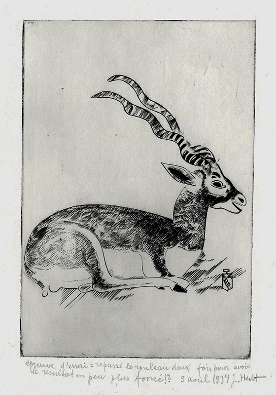 Grand Koudou (Gazelle dInde) by Joseph Hecht