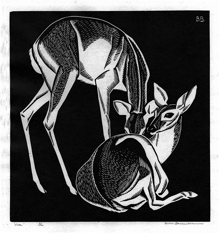 Deer by Belle Baranceanu