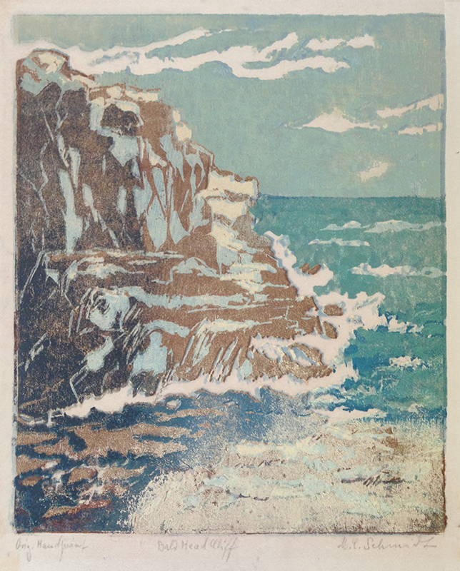 Bald Head Cliff by M. C. Schmidt