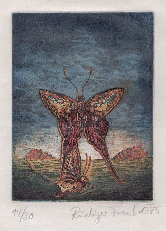 Untitled (butterflies), from the series Metamorphosis Animalis by Tilopa Monk a.k.a. Rudiger Frank