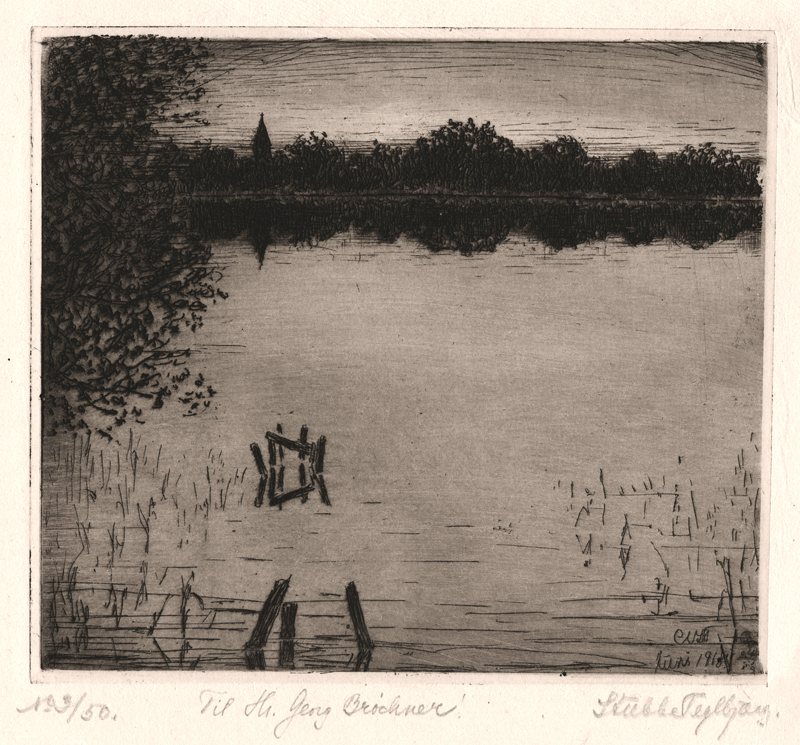 (reflections of trees on lake) by C.V. Stubbe-Teglbjaerg