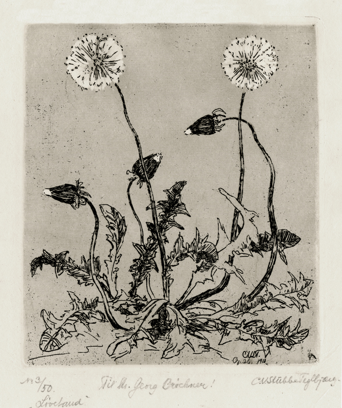 (Dandelions) by C.V. Stubbe-Teglbjaerg