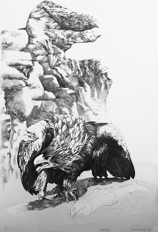 Eagle Beak by Ellen Lanyon