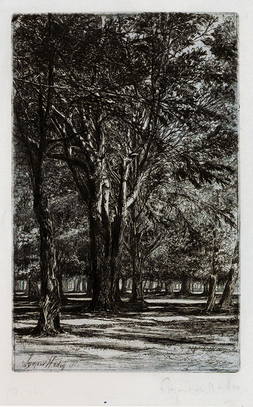 Kensington Gardens, No II (Large Plate) by Francis Seymour Haden