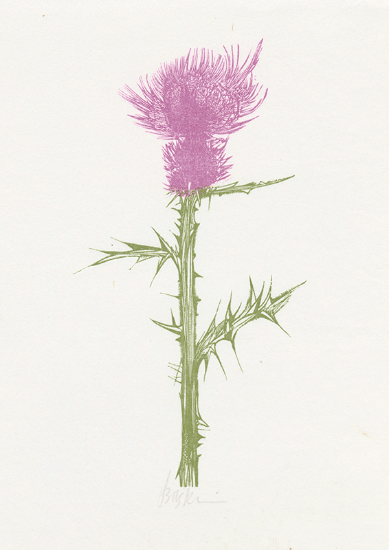 Thistle by Leonard Baskin