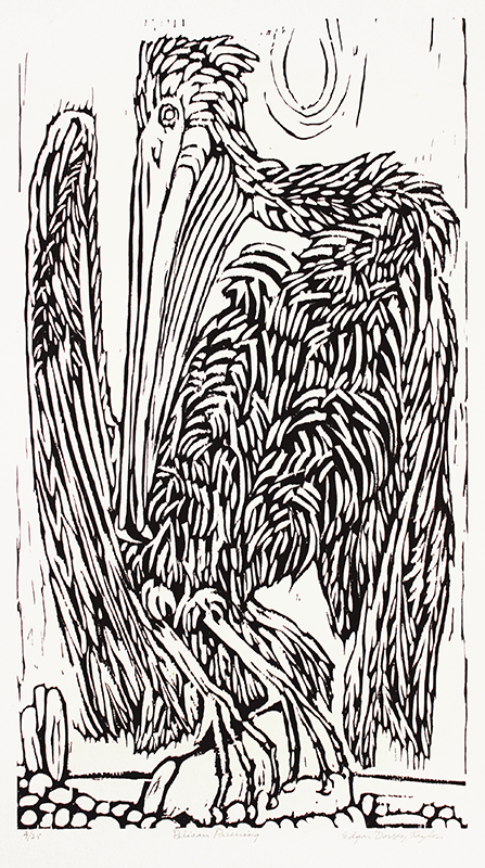Pelican Preening (from The Gulf of California portfolio) by Edgar Dorsey Taylor