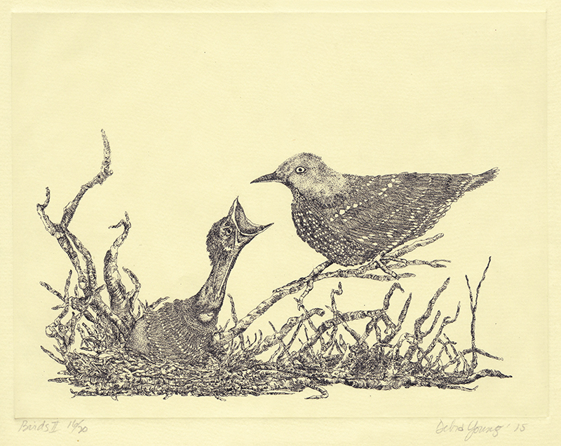 Birds II by Debra Young