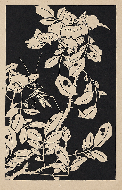 Ito Jakuchu: Jasper Flowers in the Mysterious Garden - Selected and Explained by Martin Feddersen by Ito Jakuchu