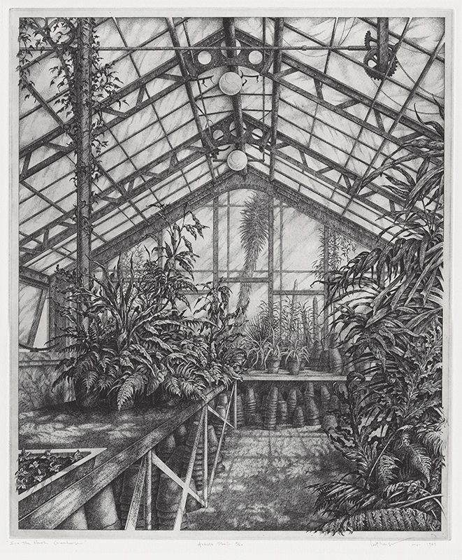 In the North Greenhouse by Mark Alan Leithauser