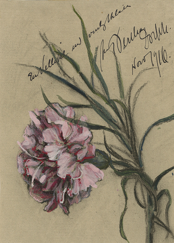 (pink carnation) by Bertha Dorph