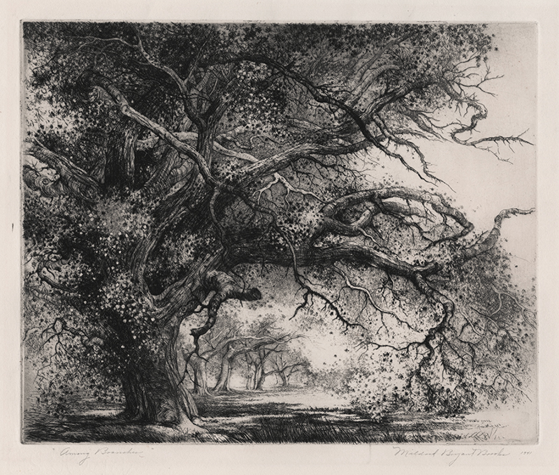 Among Branches by Mildred Bryant Brooks