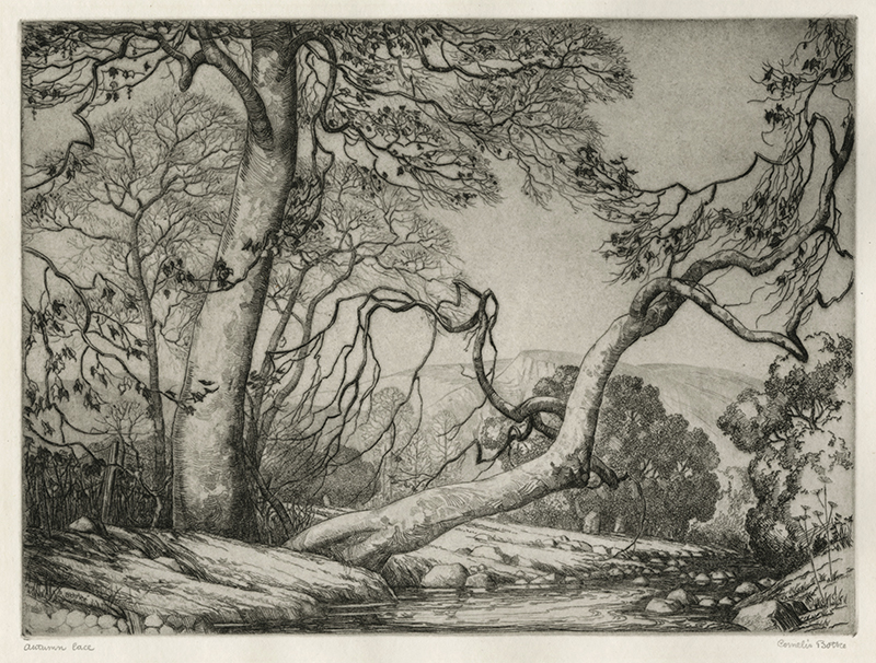 Autumn Lace by Cornelis Botke
