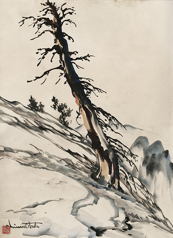 (Old Pine, near Glacier Point, Yosemite) by Chiura Obata