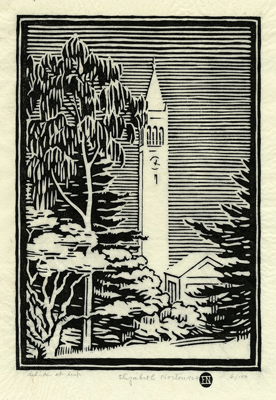 Campanile, U.C. by Elizabeth Norton