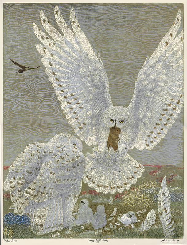 Tundra Series: Snowy Owl Family by Janet Turner