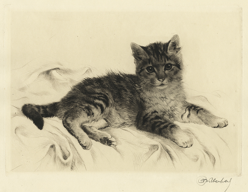 (Tabby kitten) by Kurt Meyer-Eberhardt
