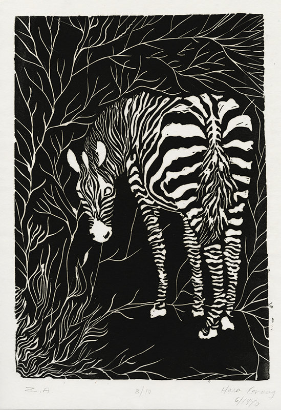 (Zebra) by Unidentified