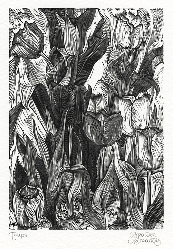 Tulips by Gerard Brender à Brandis