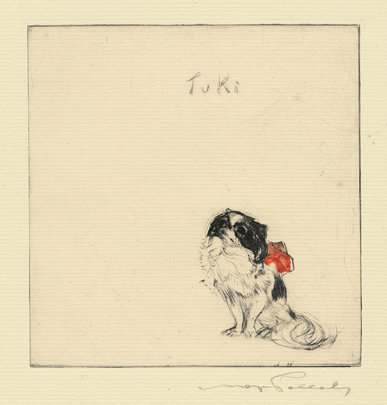 Dog and Cat series: Tuki by Max Pollak