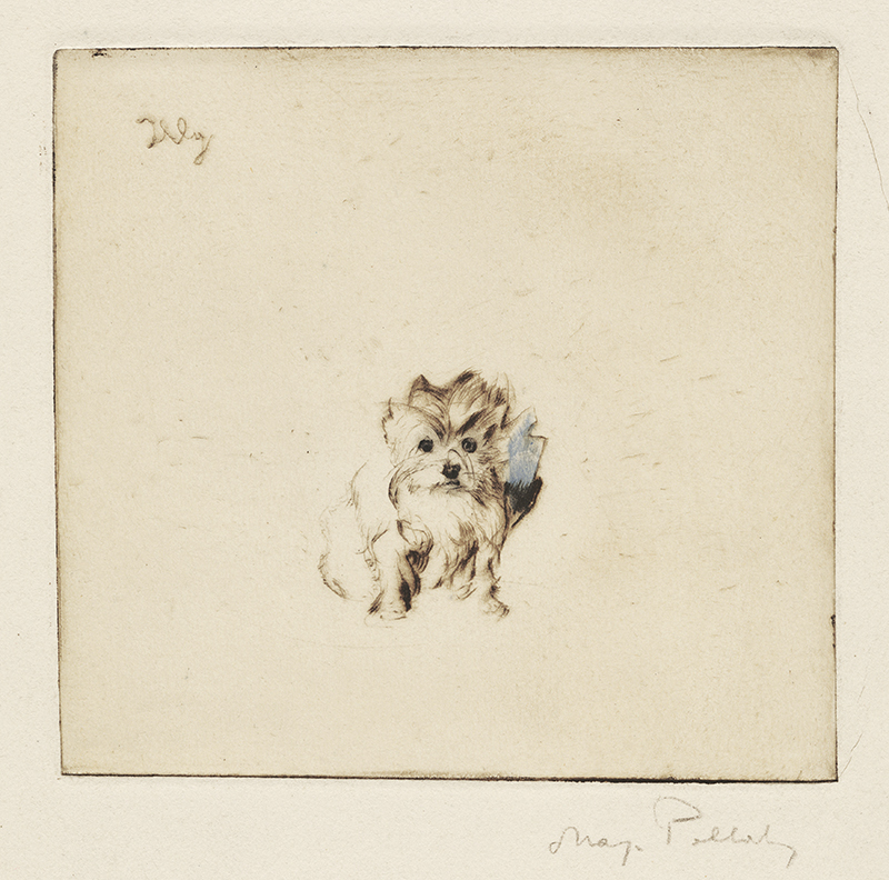 Dog and Cat series: Illy by Max Pollak