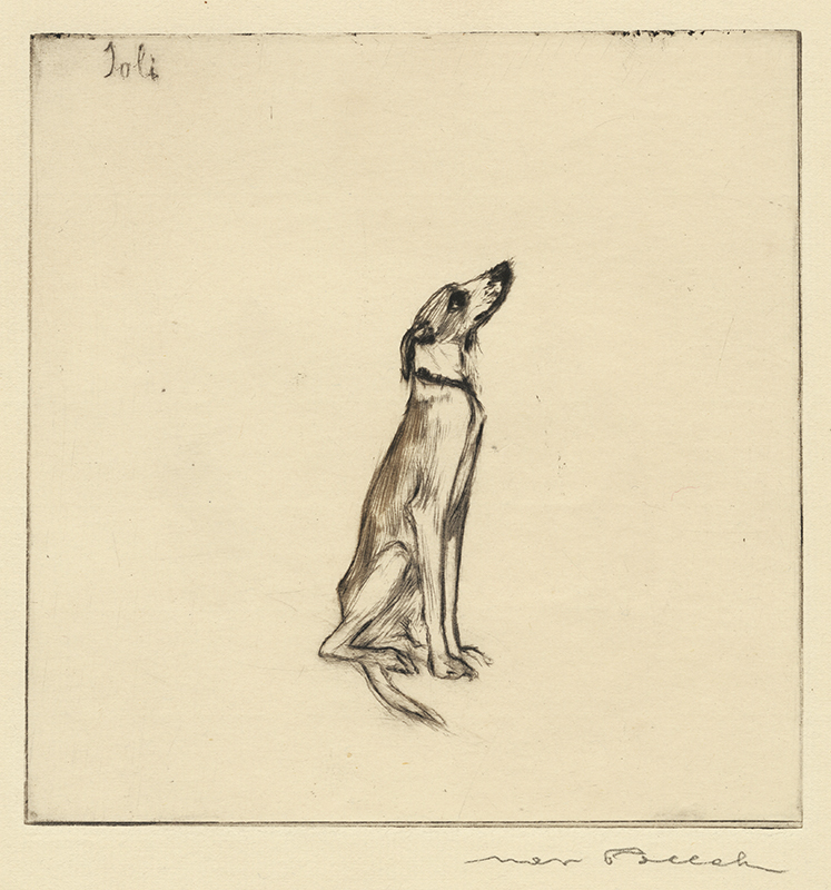 Dog and Cat series: Joli by Max Pollak