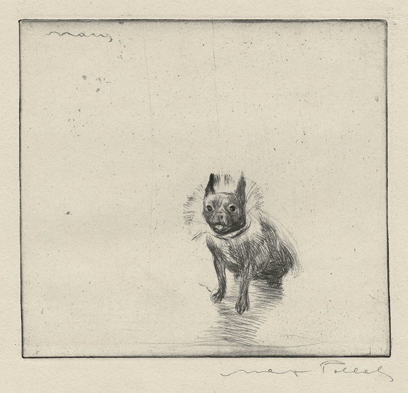 Dog and Cat series: Mary by Max Pollak