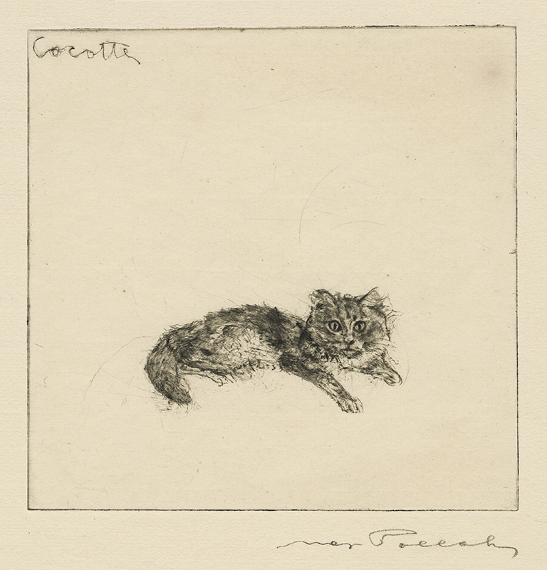Dog and Cat series: Cocotte by Max Pollak