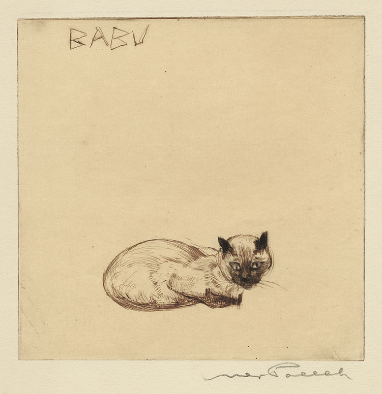 Dog and Cat series: Babu by Max Pollak