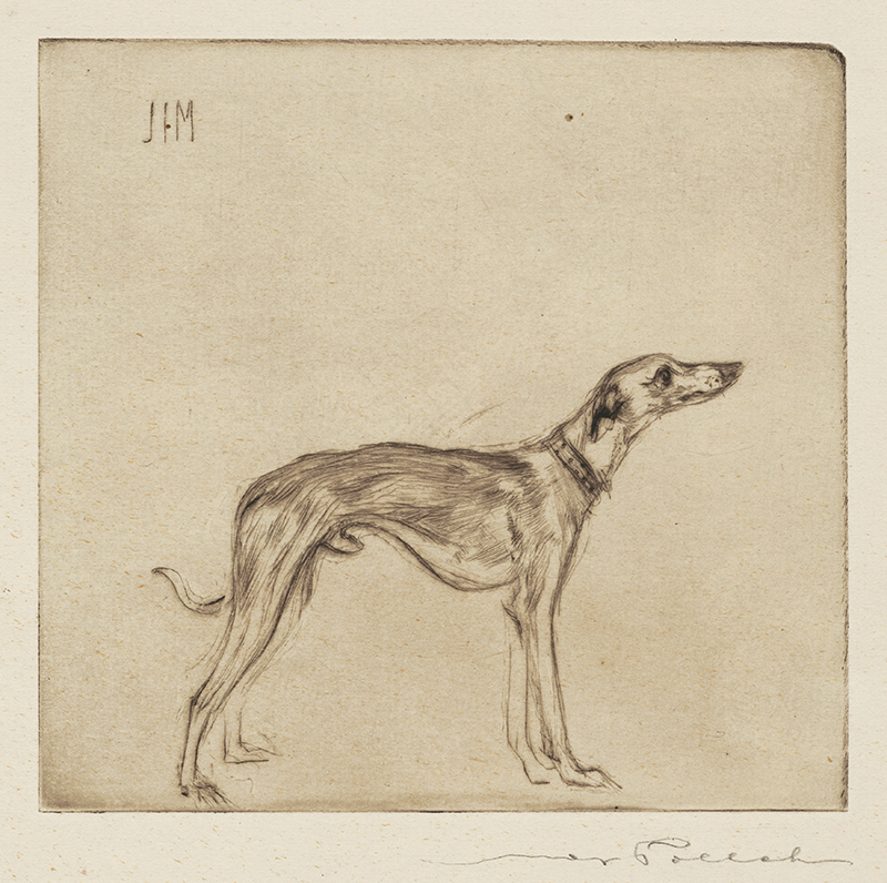 Dog and Cat series: Jim by Max Pollak