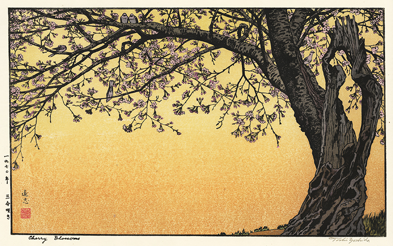 Cherry Blossoms by Toshi Yoshida