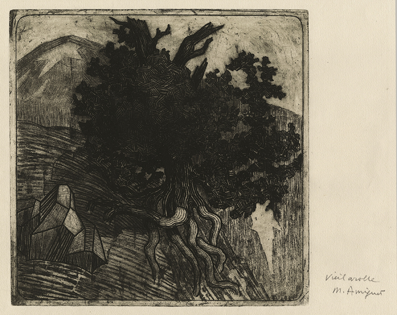 Vieil Arolle (Old Pine Tree) by Marcel Amiguet