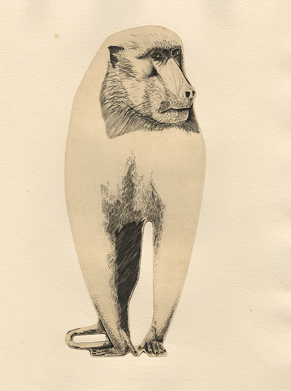 Singe - pl. II from Bestiaire portfolio by Abram Krol