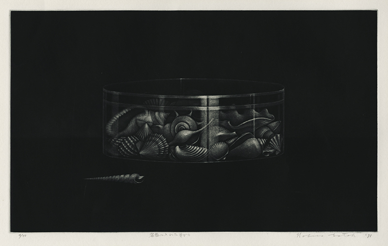 Shells in the Box (a.k.a. Shells in a Glass Box) by Nobuo Satoh