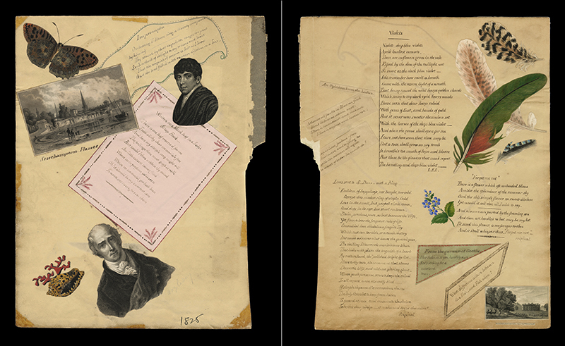 (Page from a 19th century English scrapbook) by Unidentified