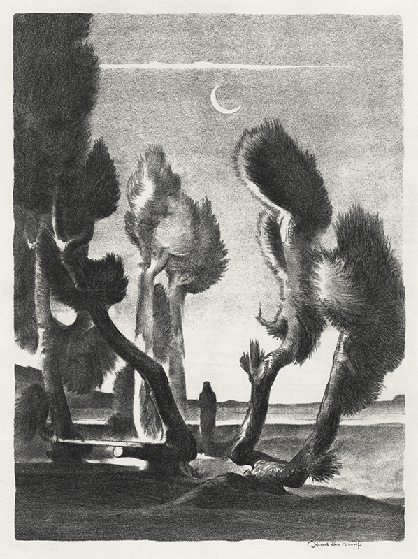 Pollard Tamarisks (Drawn Near Salton Sea, California) by Henri De Kruif