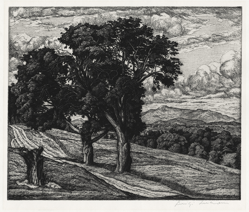 Trees and Mountains by Luigi Lucioni
