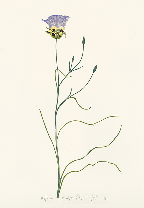 Mariposa Lily by Henry Herman Evans