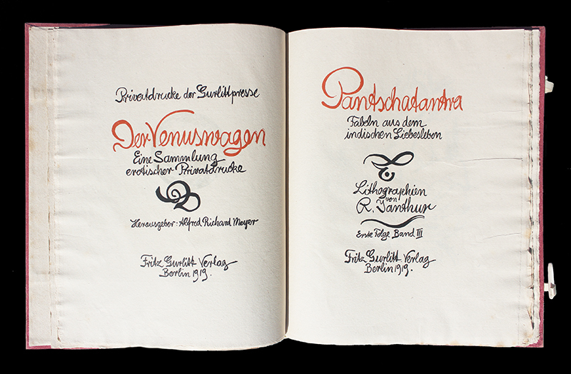 Der Venuswagen Vol. III - Panschantantra - Fabeln aus dem indischen Liebesleben by Richard Janthur