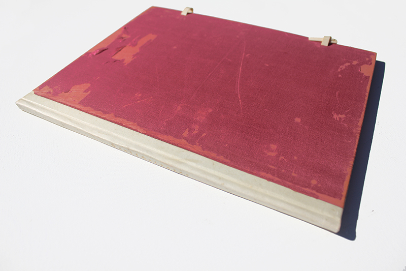 Der Venuswagen Vol. III - Panschantantra - Fabeln aus dem indischen Liebesleben by Richard Janthur